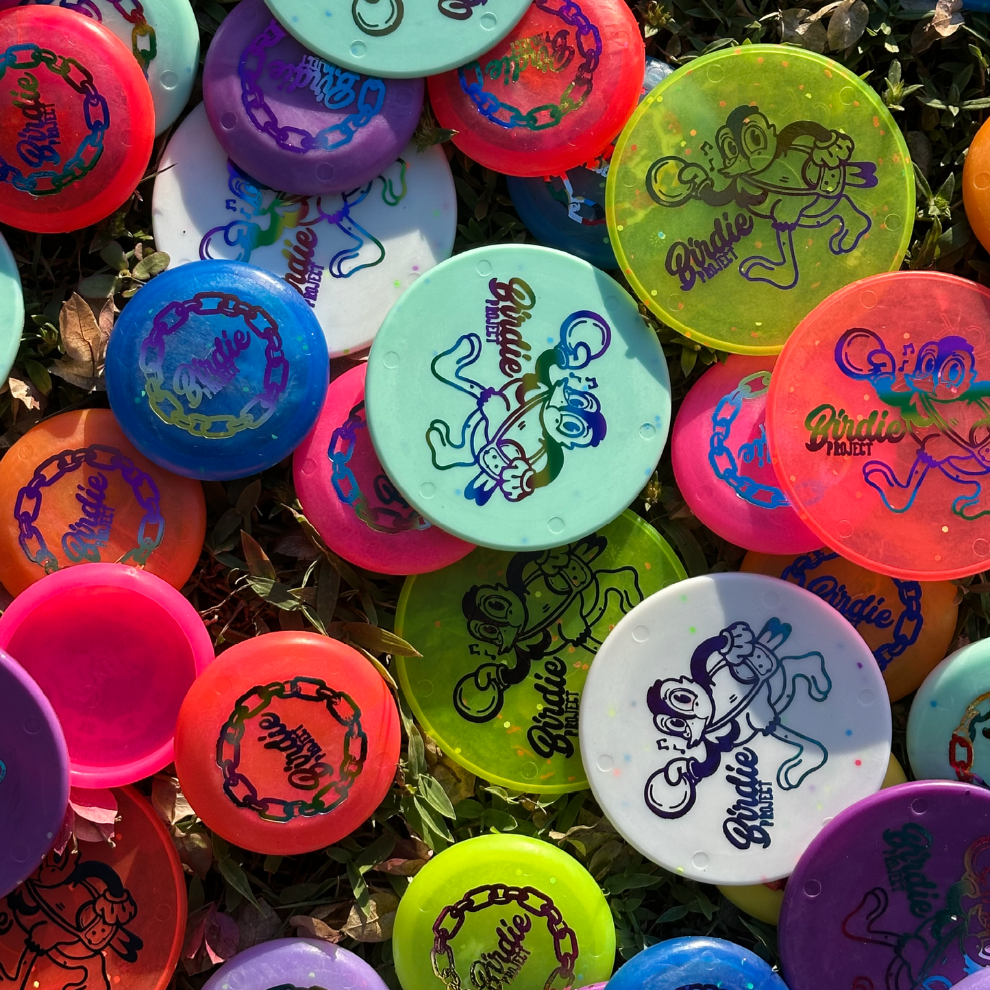 Birdie Project Zing Minis